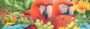 Scarlet Macaws 36x12