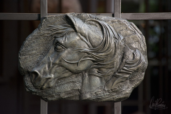 equus