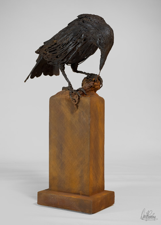 raven